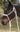 Halters