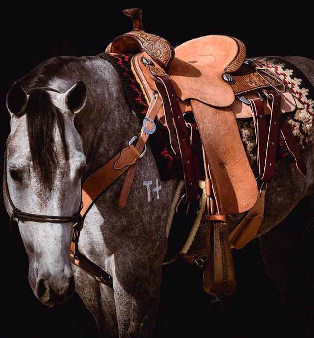 Horse Care