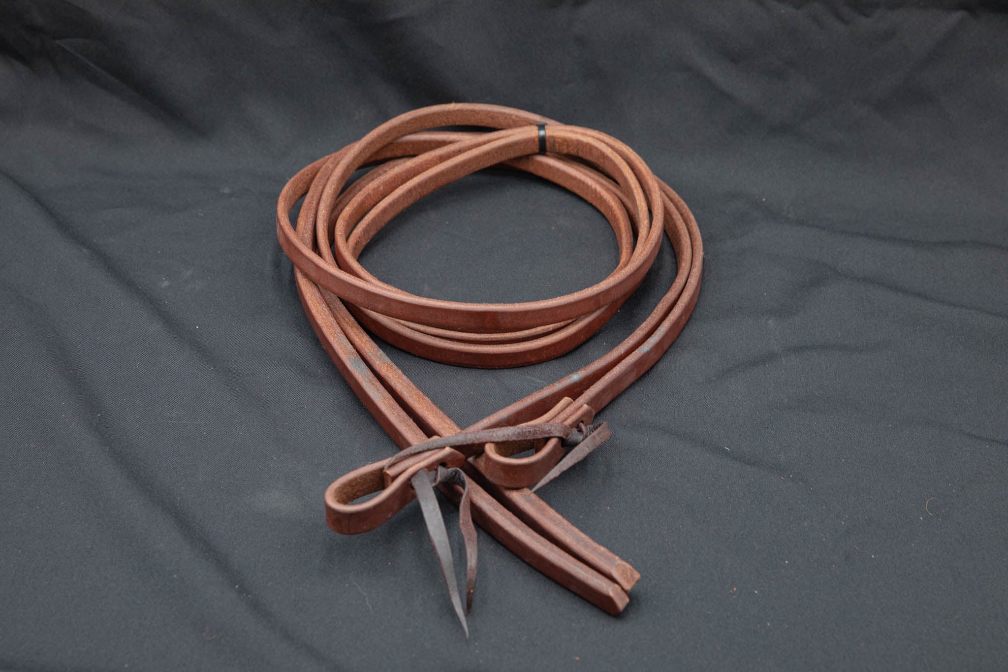 8' Weighted Extra Heavy Oil Split Reins