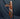 Browband Brown Floral w/ Silver Buckle